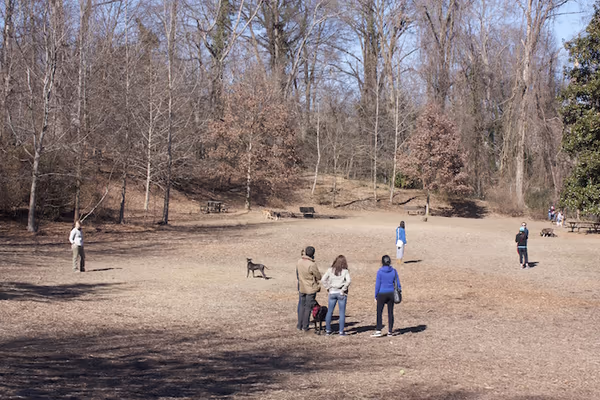 Oakhurst Dog Park photo 2